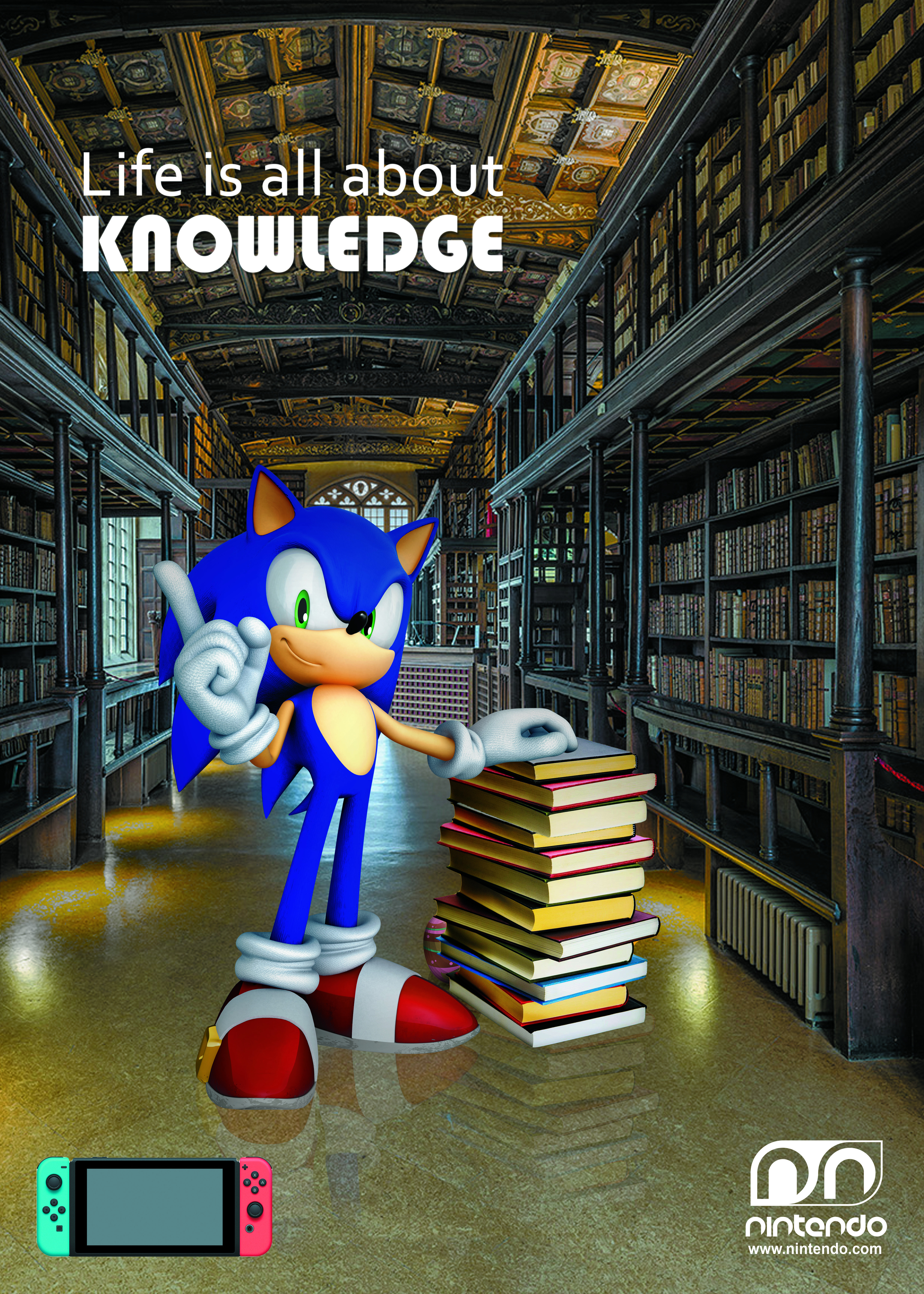 Life is all about knowledge — Sonic